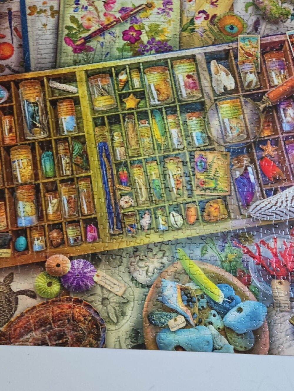 Aimee Stewart Puzzle Buffalo The Naturalist's Collection Jigsaw Puzzle 1000 Pcs - Picture 11 of 16